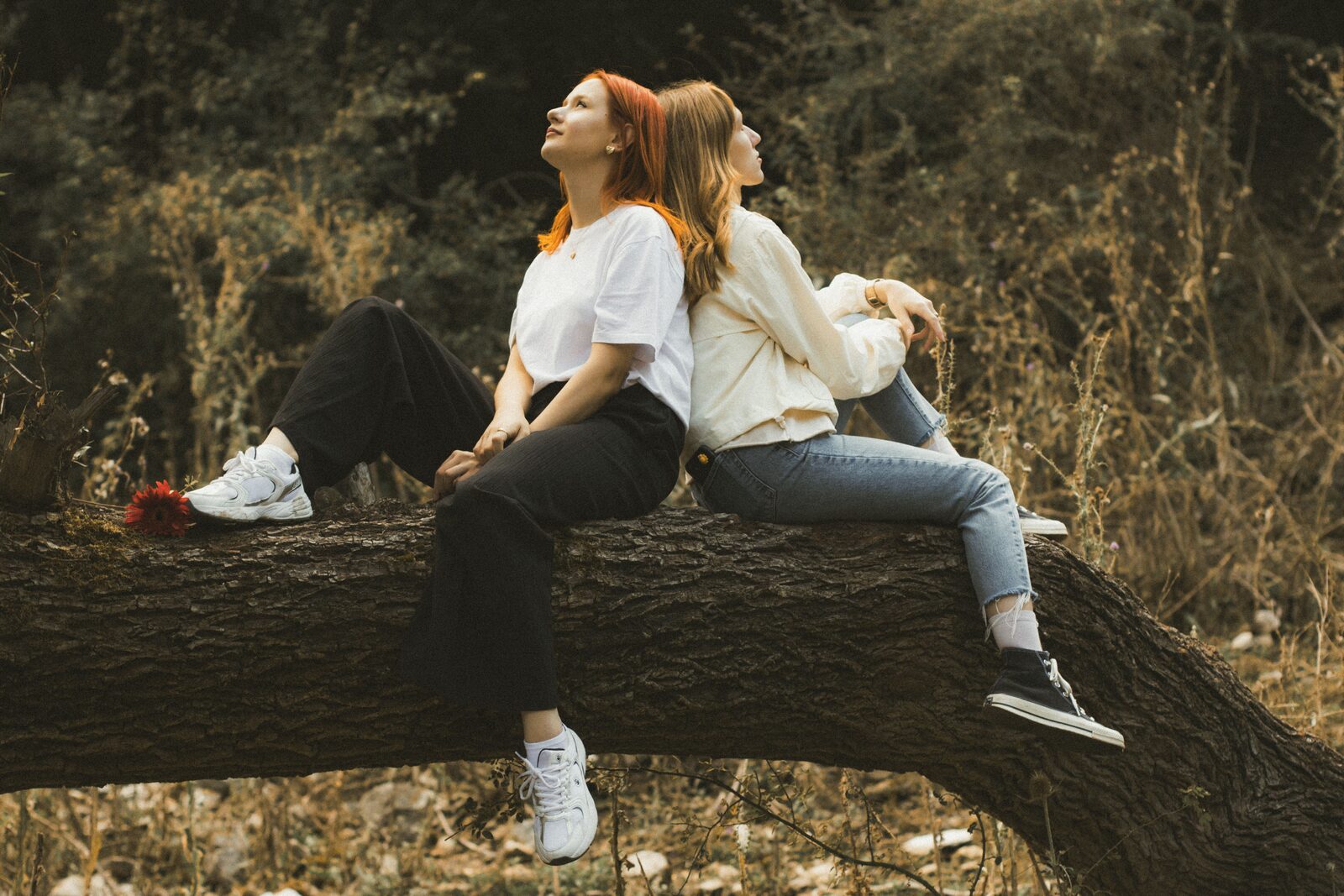 Codependency Therapy London: Understanding the Pattern and Finding Your Way Through It